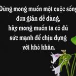 Chọn lọc 9999 stt công việc hay ý nghĩa nhất đáng để suy ngẫm