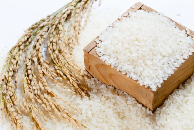 Kiểm nghiệm gạo để đảm bảo chất lượng