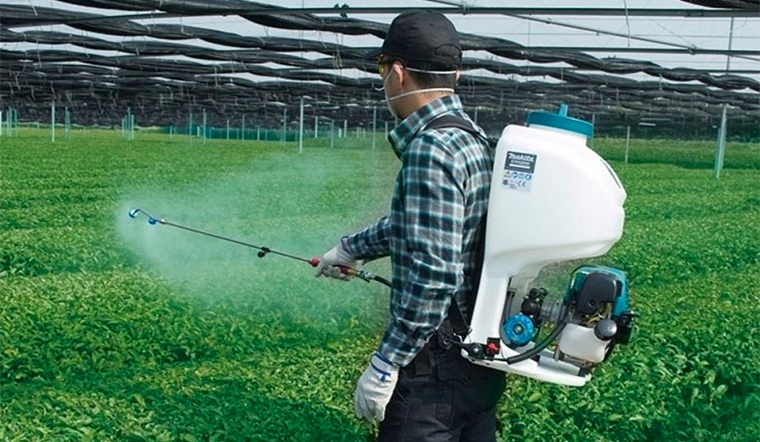 Trường hợp mất vệ sinh an toàn thực phẩm